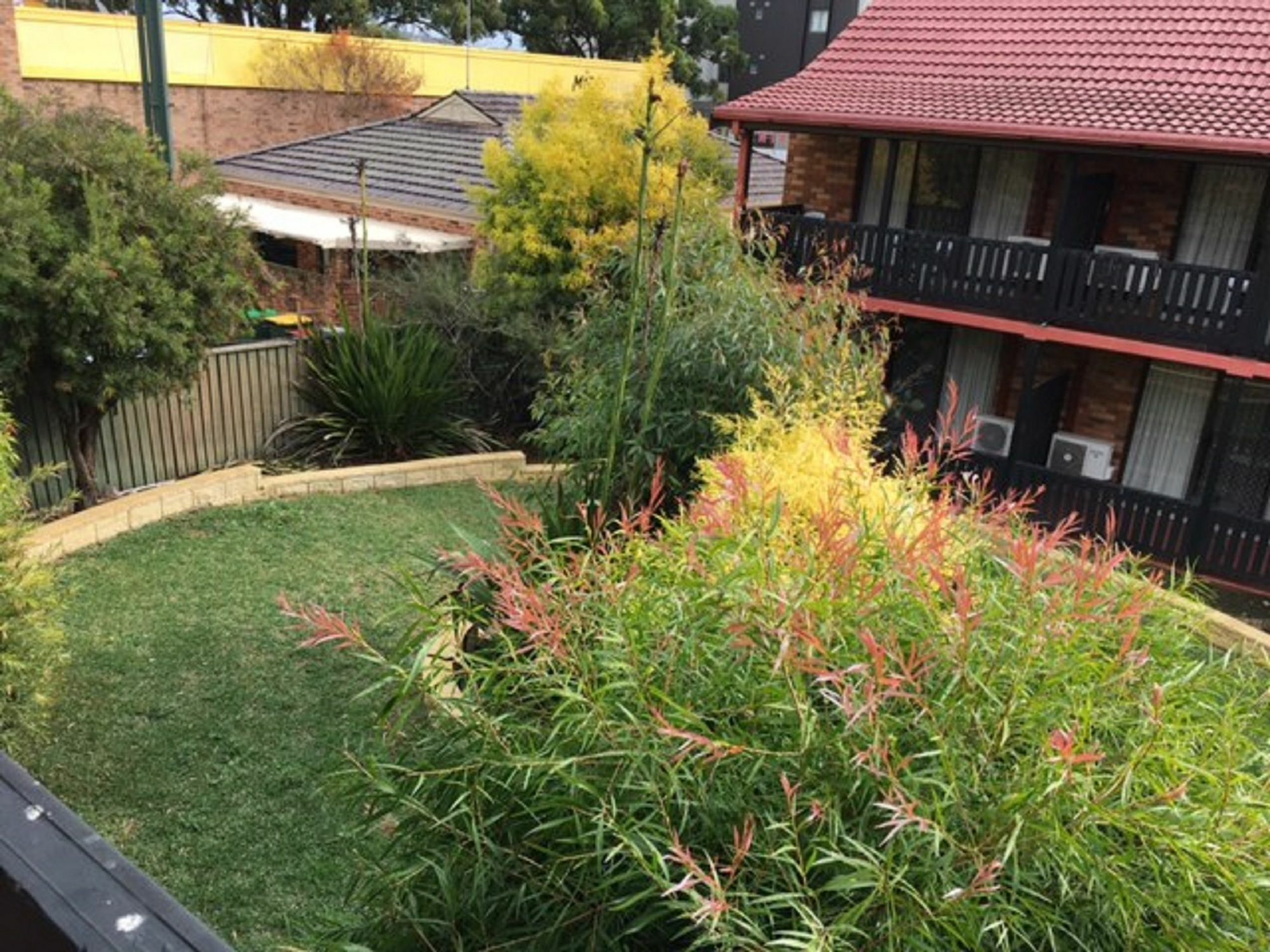 Maclin Lodge Motel Campbelltown Luaran gambar